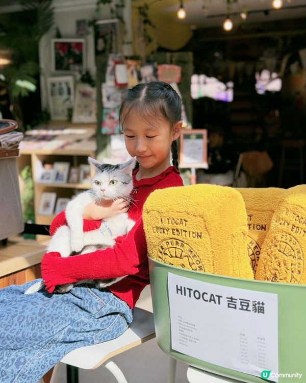 🐶台灣來了人竉市集🐱