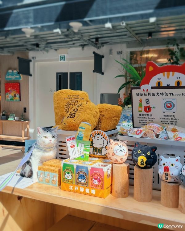 🐶台灣來了人竉市集🐱