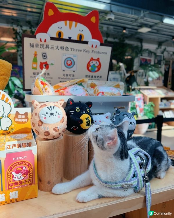 🐶台灣來了人竉市集🐱