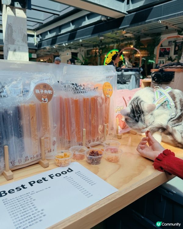 🐶台灣來了人竉市集🐱