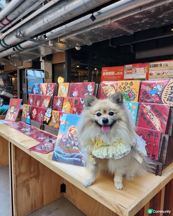 台灣來了人寵市集