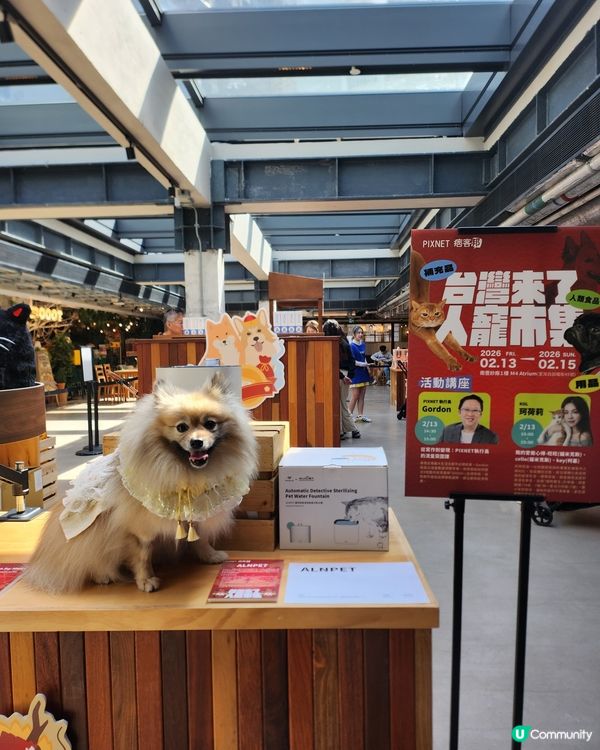 台灣來了人寵市集