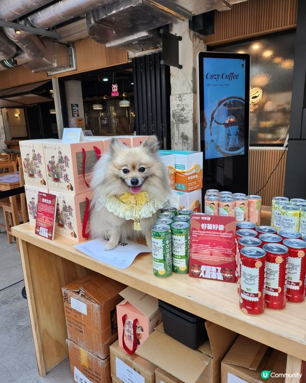 台灣來了人寵市集