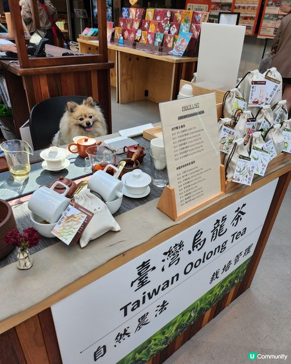 台灣來了人寵市集