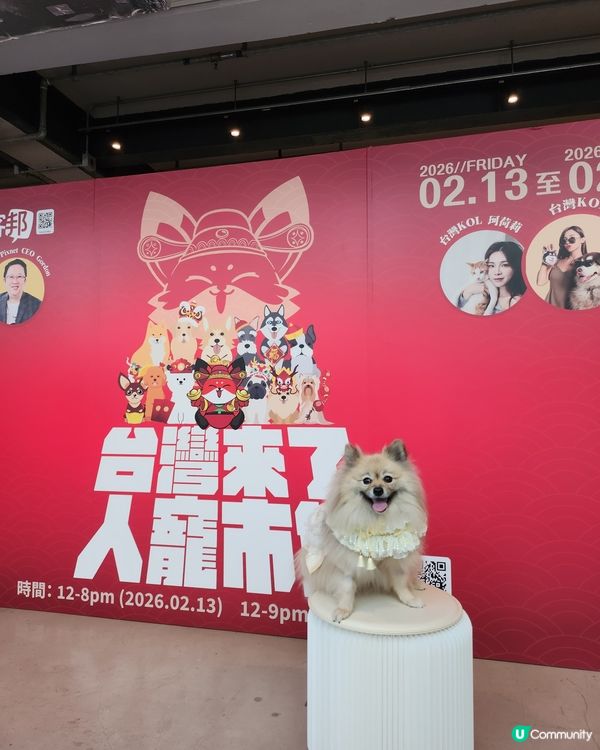 台灣來了人寵市集