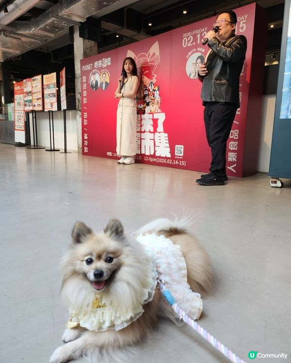 台灣來了人寵市集