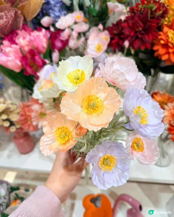 尖沙咀日系風🏡🌟！