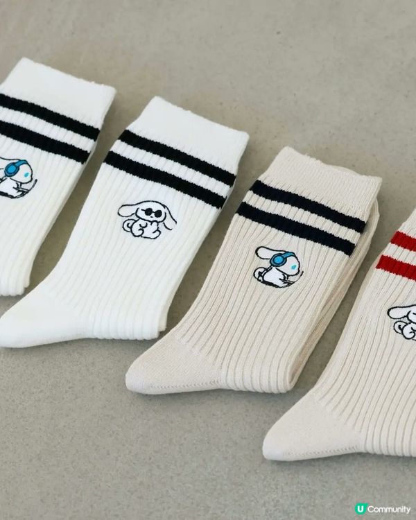🇯🇵日本限定新發售🩵簡約可愛玉桂狗襪子