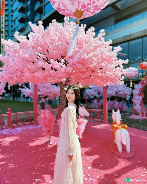 🌸 北角花園似仙境，甜蜜賞櫻賞燈籠 🤩
