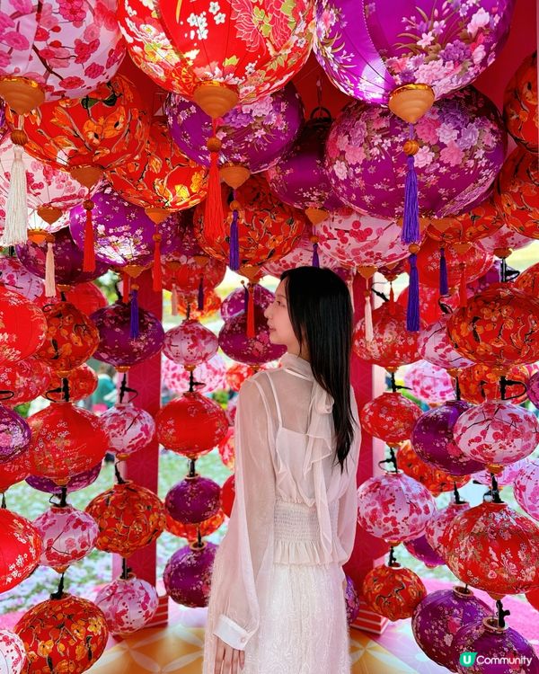 🌸 北角花園似仙境，甜蜜賞櫻賞燈籠 🤩