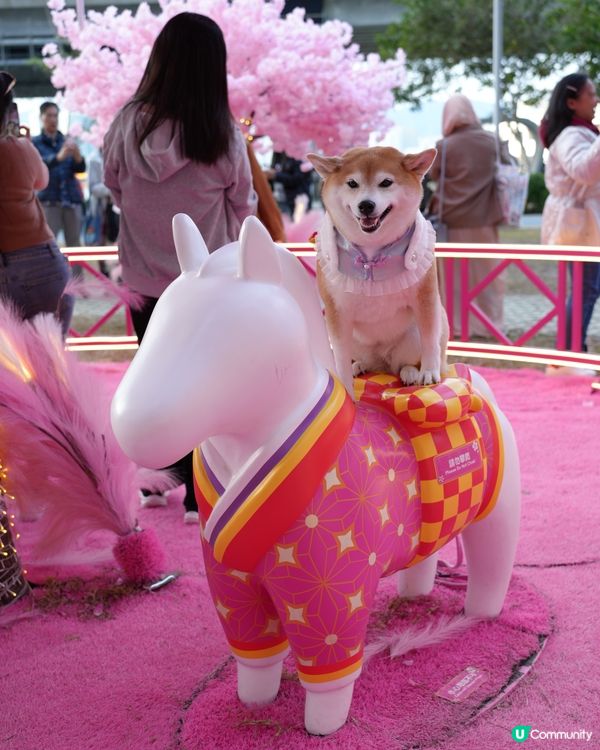 🌹花見春之園🌷