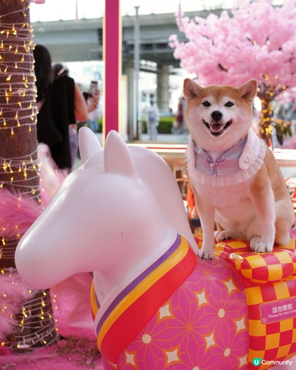 🌹花見春之園🌷