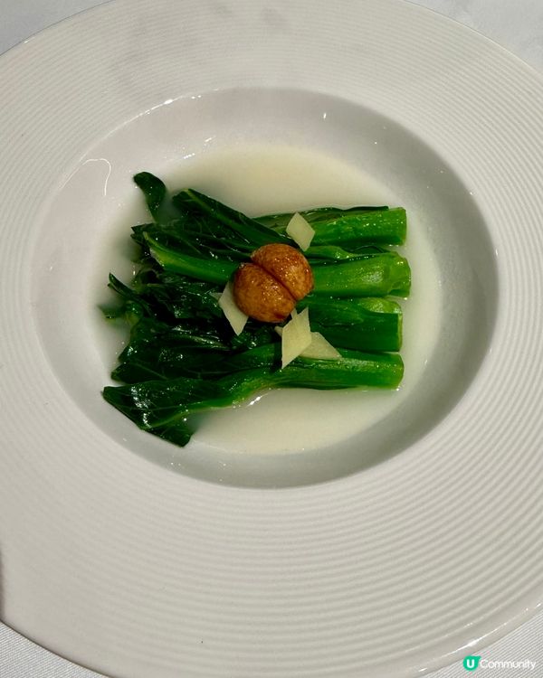 廚魔新厝🌊 抵食高級潮粵Lunch ✨