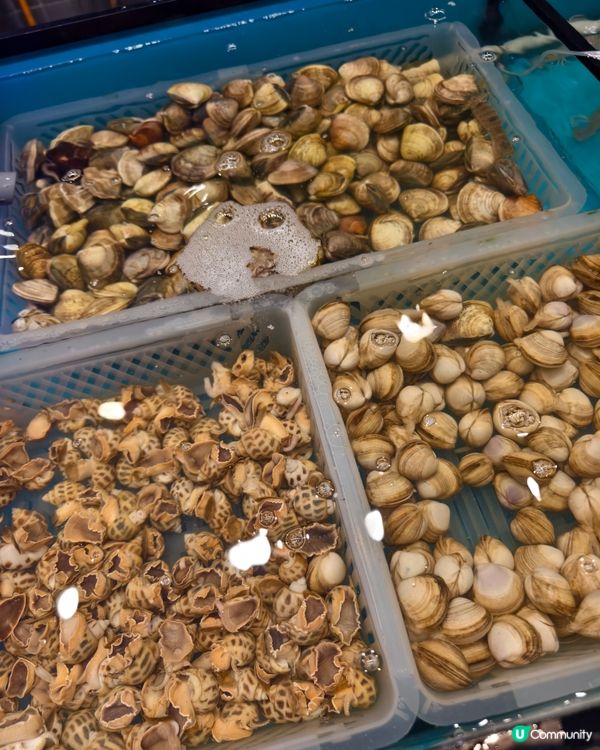 任撈海鮮火鍋放題