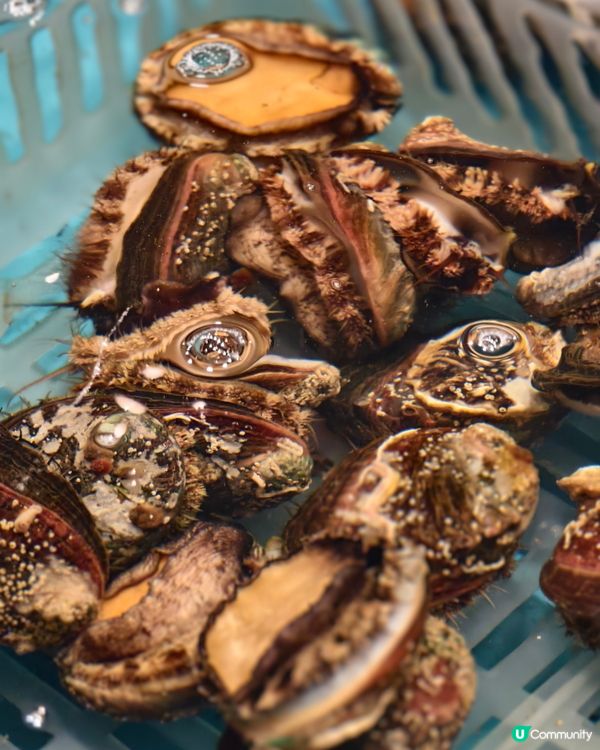 任撈海鮮火鍋放題