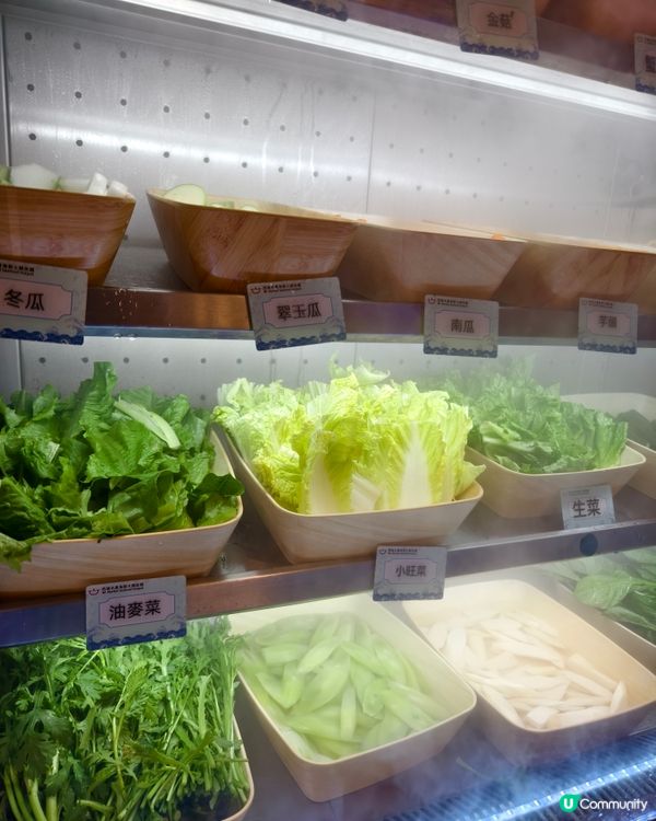 任撈海鮮火鍋放題