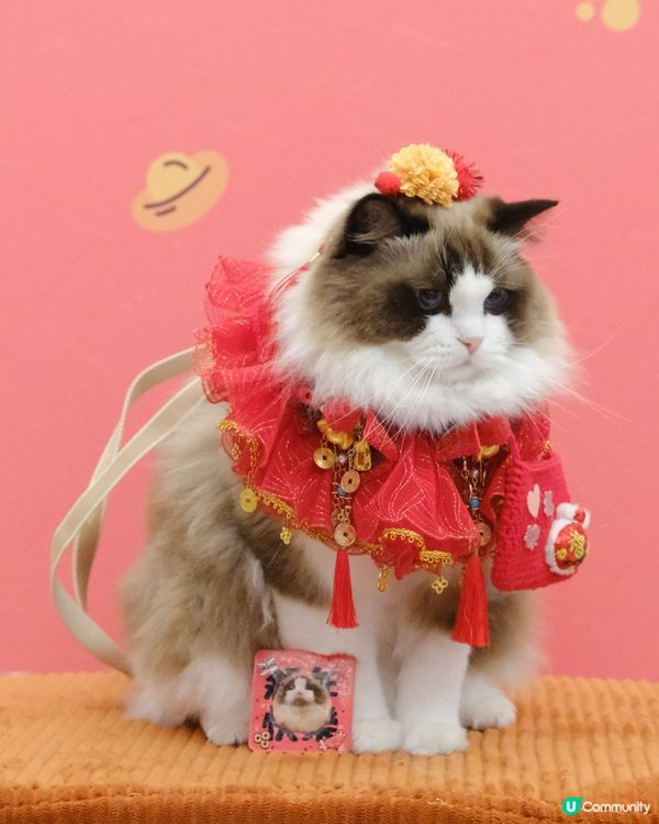 新年好去處の北角匯💖新年毛孩派對！🧧🤩