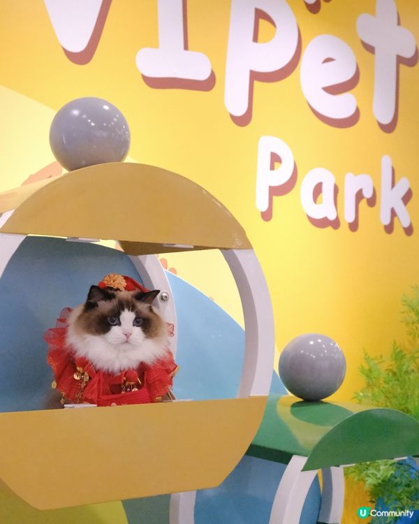 新年好去處の北角匯💖新年毛孩派對！🧧🤩