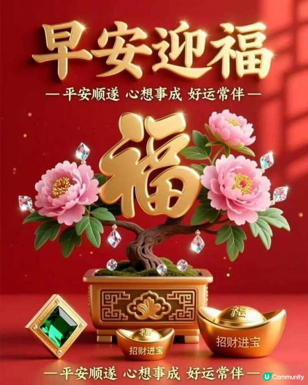 美味蘿蔔糕😋