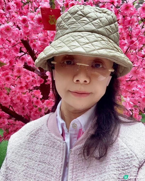 美味蘿蔔糕😋