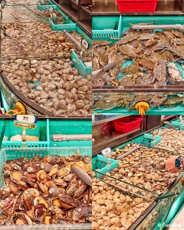 超人氣🔥海鮮🦀火鍋🥢放題