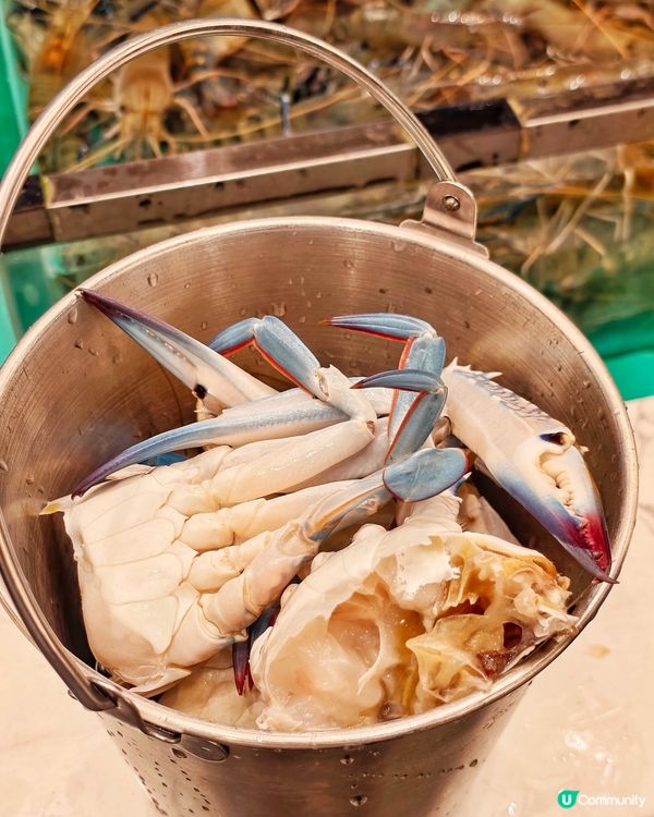 超人氣🔥海鮮🦀火鍋🥢放題