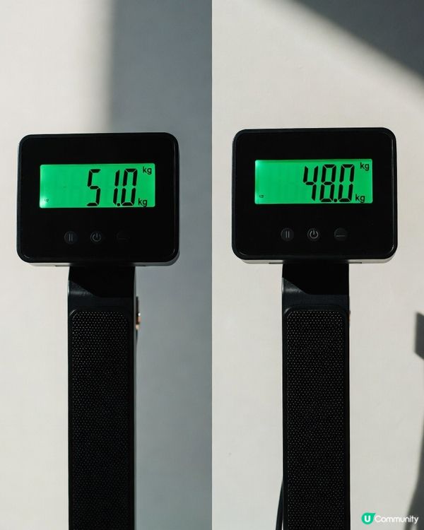 【WholeLove Plus｜纖體&腸腩清益生菌】