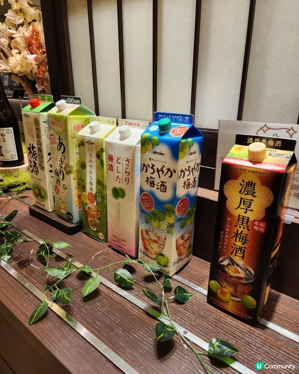 人氣溫泉酒店♨️⛺️ 文化體驗