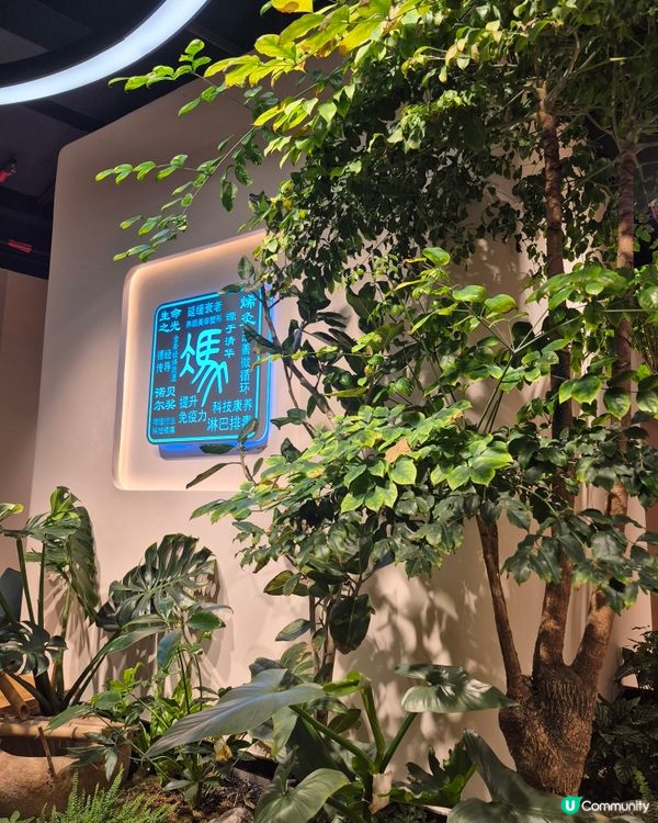 深圳 - AI科技養生體驗