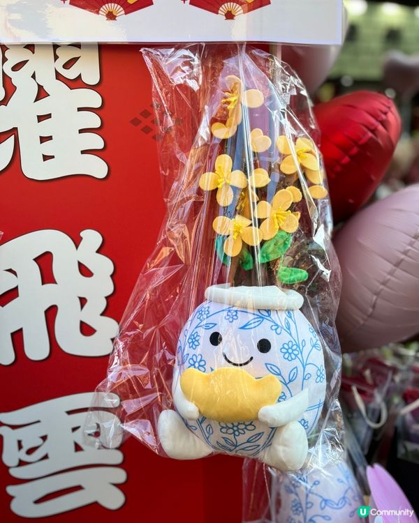 旺角花墟年宵！行過路過唔好錯過！💐✨