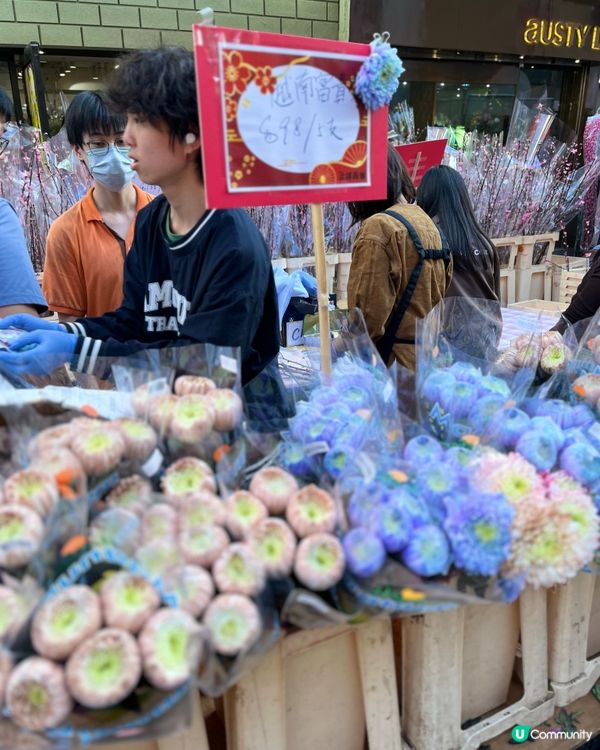 旺角花墟年宵！行過路過唔好錯過！💐✨