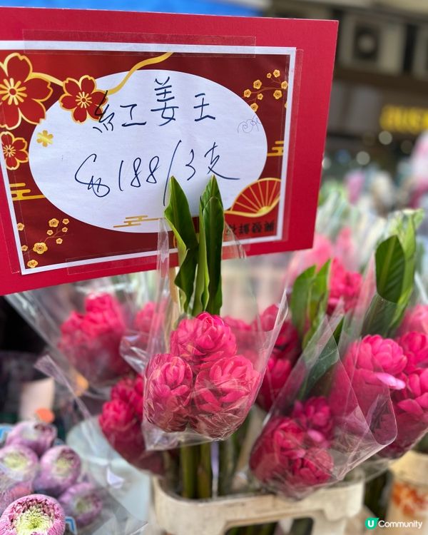 旺角花墟年宵！行過路過唔好錯過！💐✨