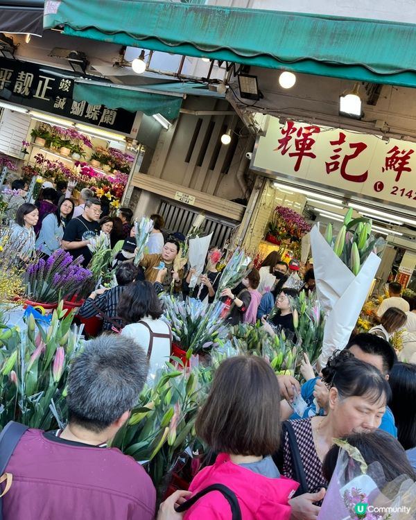 旺角花墟年宵！行過路過唔好錯過！💐✨