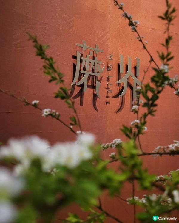 暮色尋鮮，於菌香中安頓身心