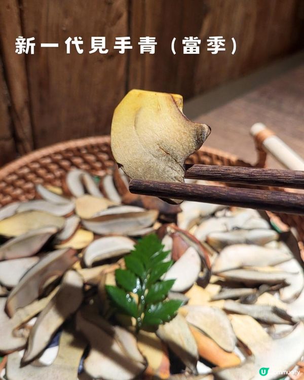 暮色尋鮮，於菌香中安頓身心