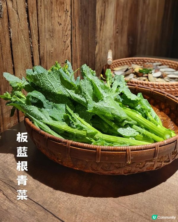 暮色尋鮮，於菌香中安頓身心