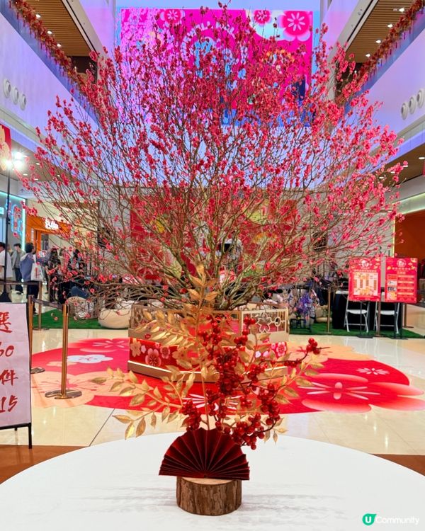 🥳🌸灣仔合和新年市集，撐本地小店！