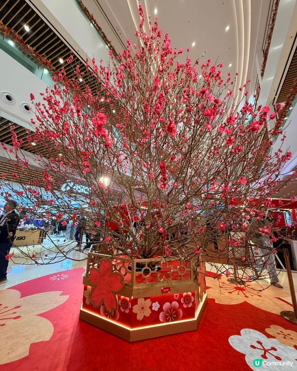 🥳🌸灣仔合和新年市集，撐本地小店！