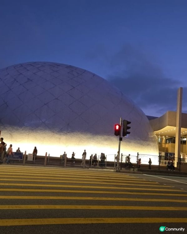 每年農曆新年也會到半島酒店附近打卡，總覺得很有新年氣氛。
