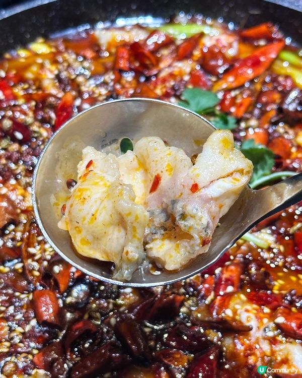 銅鑼灣超抵食水煮魚二人套餐