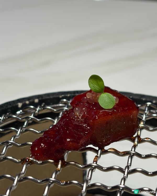 一餐食晒鮑參翅肚🤤