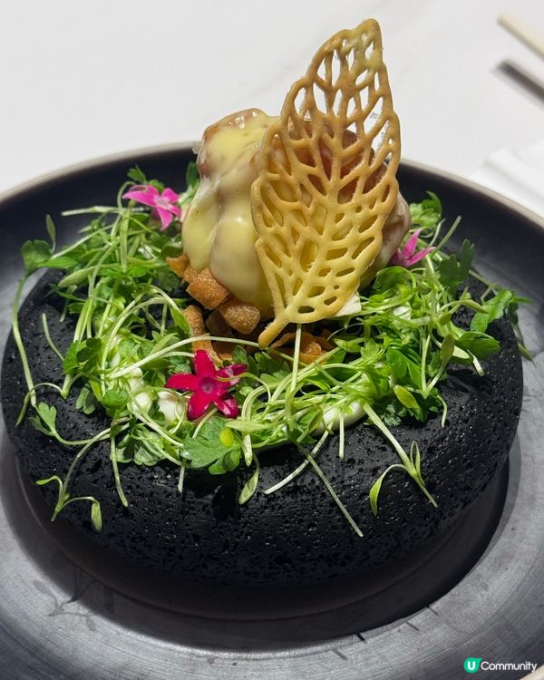 一餐食晒鮑參翅肚🤤