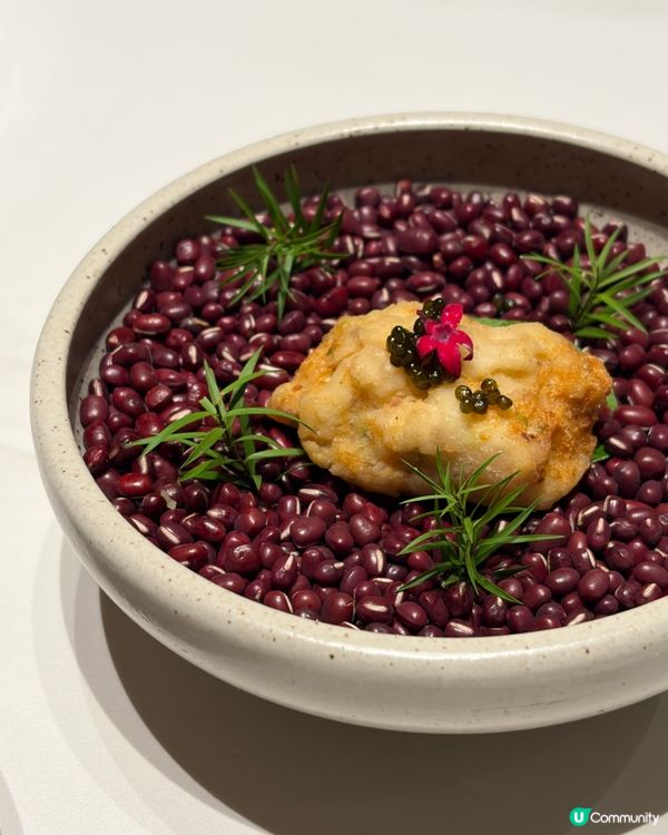 一餐食晒鮑參翅肚🤤