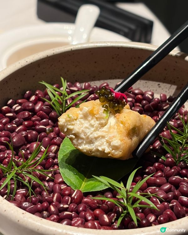 一餐食晒鮑參翅肚🤤