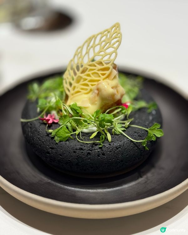 一餐食晒鮑參翅肚🤤