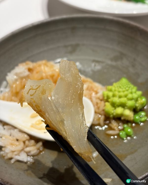 一餐食晒鮑參翅肚🤤