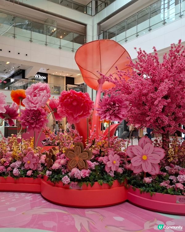 花開富貴，新城市廣場等你影📸🌸