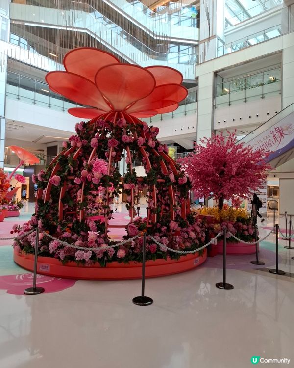 花開富貴，新城市廣場等你影📸🌸