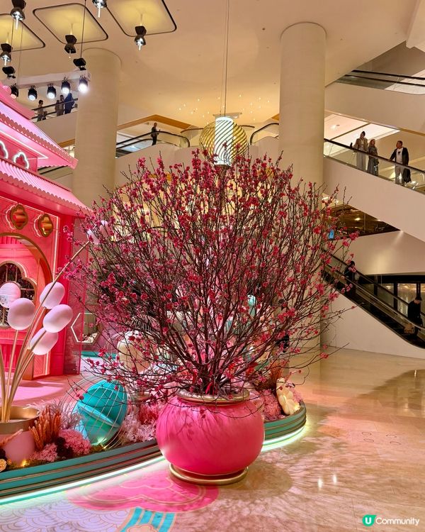 ‼️太古廣場夢幻馬年庭園 🌸🐎✨