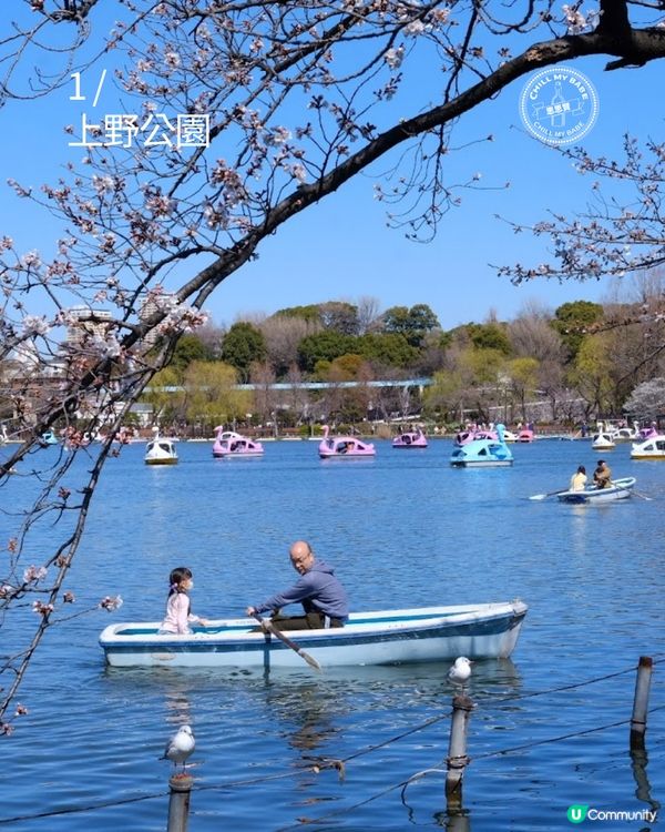 東京賞櫻！🌸2026必去10大點！